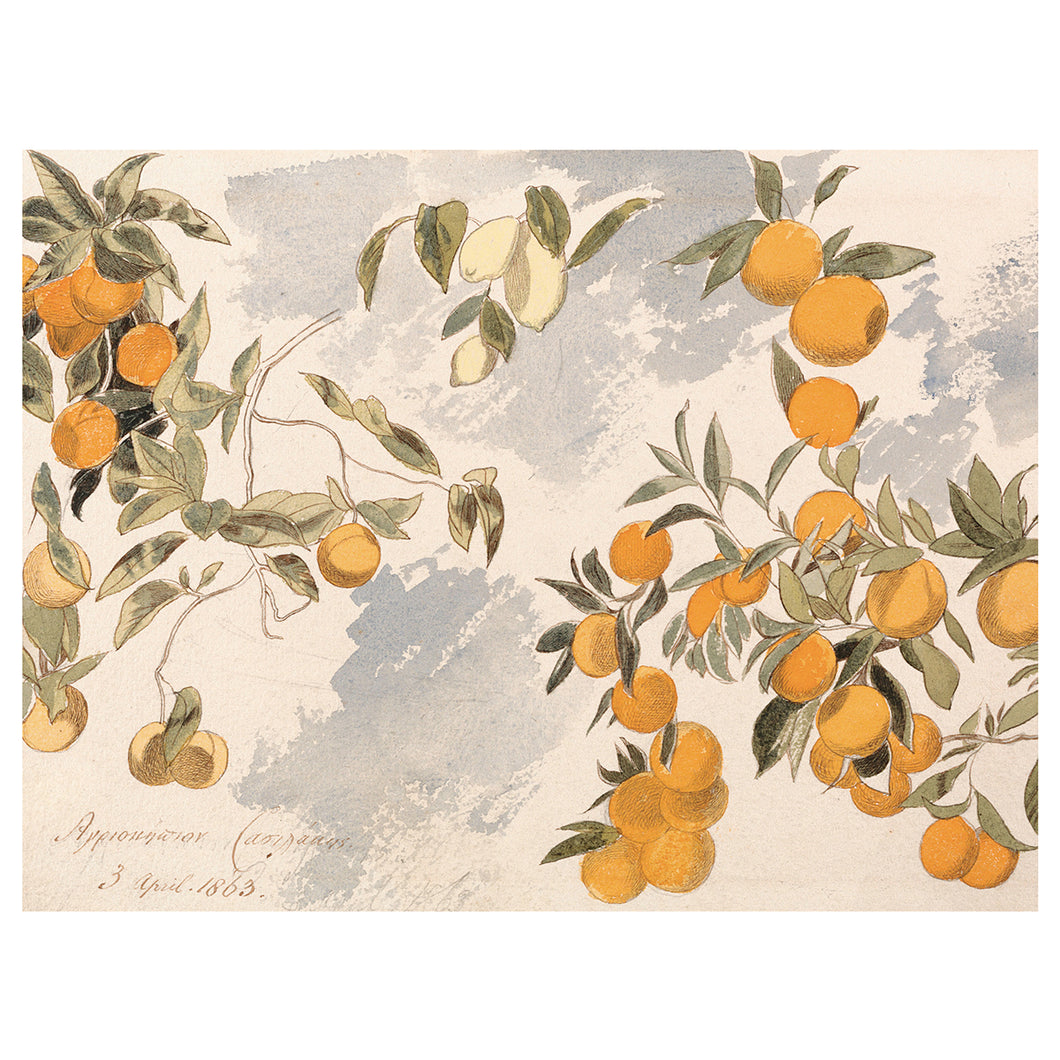 Orange and Lemon Tree