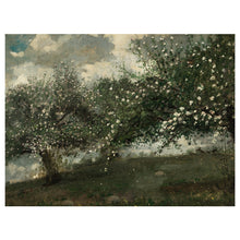 Load image into Gallery viewer, Apple Blossoms
