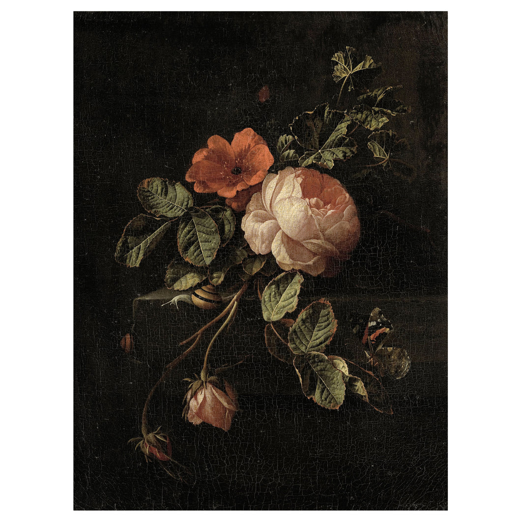 Renaissance Rose