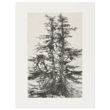 Load image into Gallery viewer, Tree Top II

