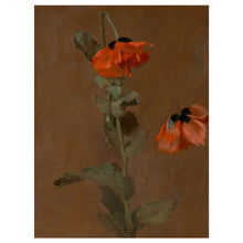 Load image into Gallery viewer, Amber Poppies

