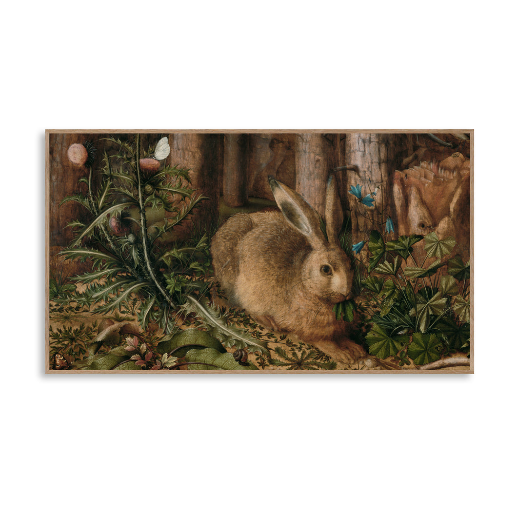 Bunny